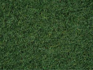 NOC08320 - Swamp Herbs - 2.5mm - 20g