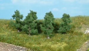 HEK1162 - 6 Apple trees 4 cm