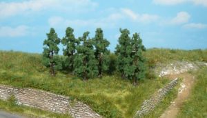 HEK1171 - 6 pear trees 6 cm