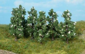 HEK1172 - 6 Pear trees 6 cm