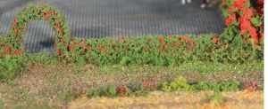 HEK11806 - 2 rose hedges - 7x7 mm - 50 cm long.