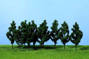 HEK1220 - 10 poplar trees 9 cm
