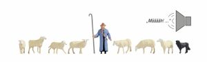 NOC12854 - Herd of sheep with sound effects