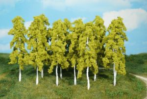 HEK1412 - 14 birch trees 14 cm