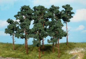 HEK1413 - 14 pine trees 10-16 cm