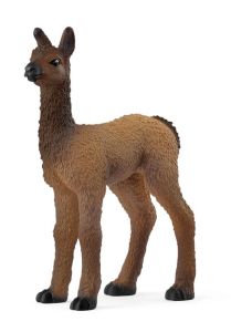 SHL14890 - Baby Llama