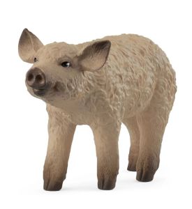 SHL14893 - Mangalica Piglet