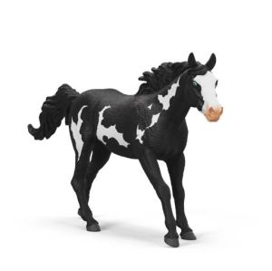 SHL14900 - Paint Horse Gelding