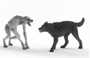 SHL14906 - Werewolf vs. Animagus