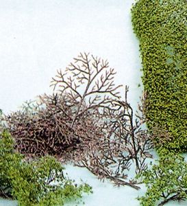 HEK1530 - Kit of 15 bushes 2-6 cm