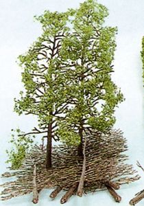 HEK1533 - Kit of 10 trees 18 cm