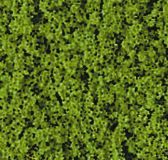 HEK1564 - May green foliage - 200 ml