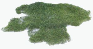 HEK1573 - Realistic wild marsh grass - 28 x 14 cm