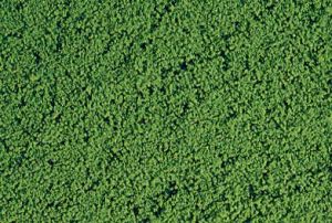 HEK1611 - Medium green microflock foliage - 200 ml