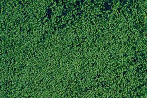 HEK1612 - Dark green microflock foliage - 200 ml