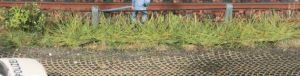 HEK1816 - 8 Spring grass strips 10 mm