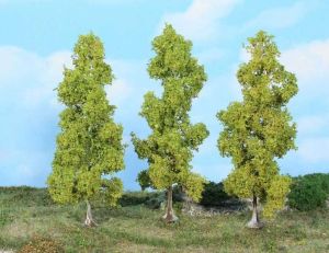 HEK19116 - 3 Birch trees 13 cm