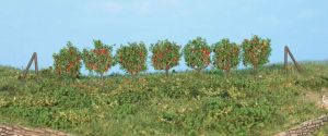 HEK19135 - 36 Espalier trees - 2.5 cm