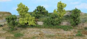 HEK1927 - 7 Bushes and shrubs 6-8 cm