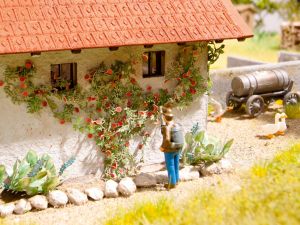 NOC14118 - Climbing rose