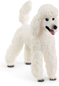 SHL13917 - Poodle