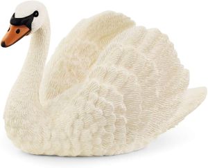 SHL13921 - Swan