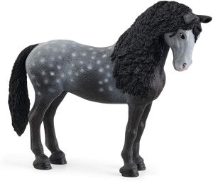 SHL13922 - Purebred Spanish mare