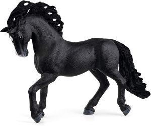 SHL13923 - Spanish purebred stallion