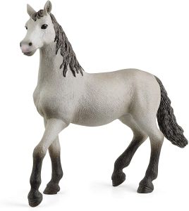 SHL13924 - Purebred Spanish foal