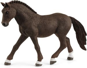 SHL13926 - German Riding Pony Gelding