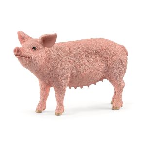 SHL13933 - Pig