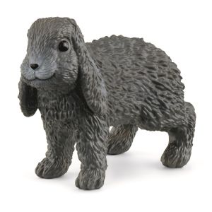 SHL13935 - lop rabbit
