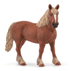 SHL13941 - Belgian brood mare