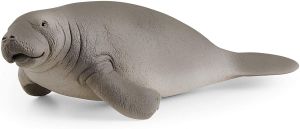 SHL14839 - Manatee