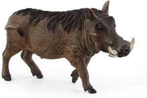 SHL14843 - warthog
