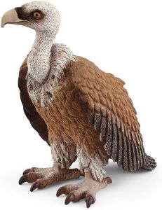 SHL14847 - Vulture