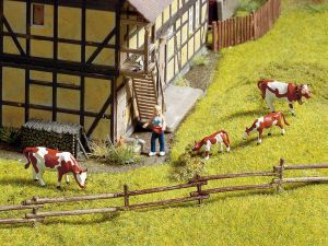 NOC13010 - Field fence