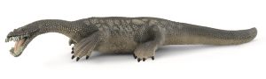 SHL15031 - nothosaurus