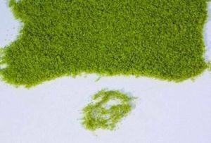 HEK15100 - Light green foliage 28x14 cm