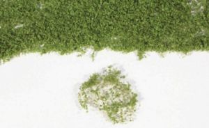 HEK15102 - Spring green foliage 28x14 cm