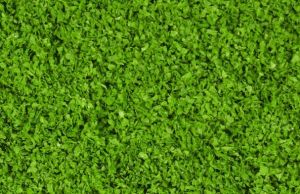 HEK15151 - Medium green foliage 200 ml