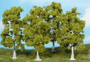 HEK1921 - 4 Birch trees 10 cm