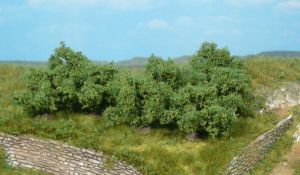 HEK1735 - 8 bushes 4 cm