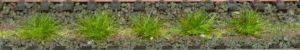 HEK1801 - 100 Tufts of summer grass 6 mm
