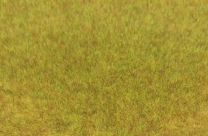 HEK3371 - Bag 75 g of wild autumn grass 5-6 mm