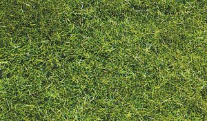 HEK3369 - Bag 75 g of dark green wild grass 5-6 mm