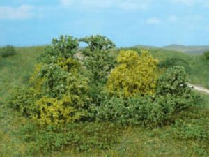 HEK1646 - 20 natural bushes