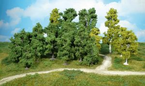 HEK1952 - 14 deciduous trees 9-18 cm