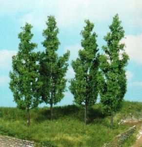 HEK1719 - 4 poplar trees 14 cm