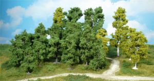 HEK1951 - 14 Deciduous trees 5-12 cm